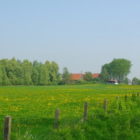 Landschapschilderen Landschapschilderen